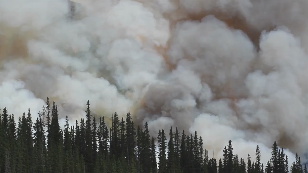 Forest Fire recovery reel