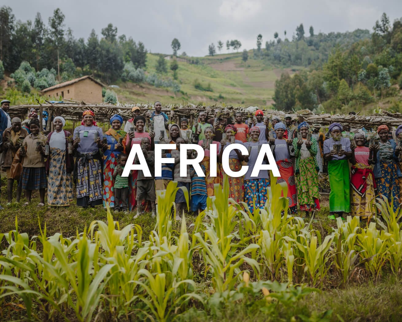 Africa main image