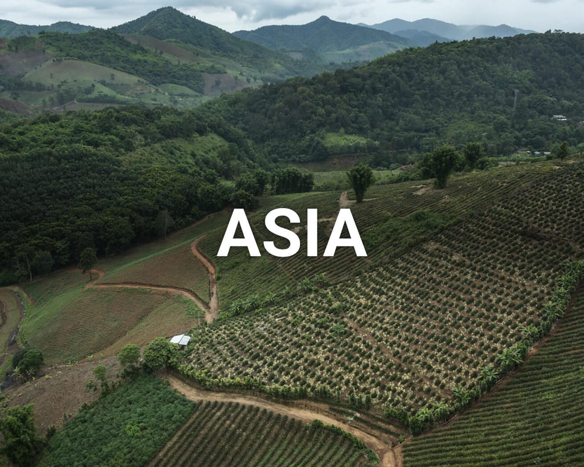 Asia main