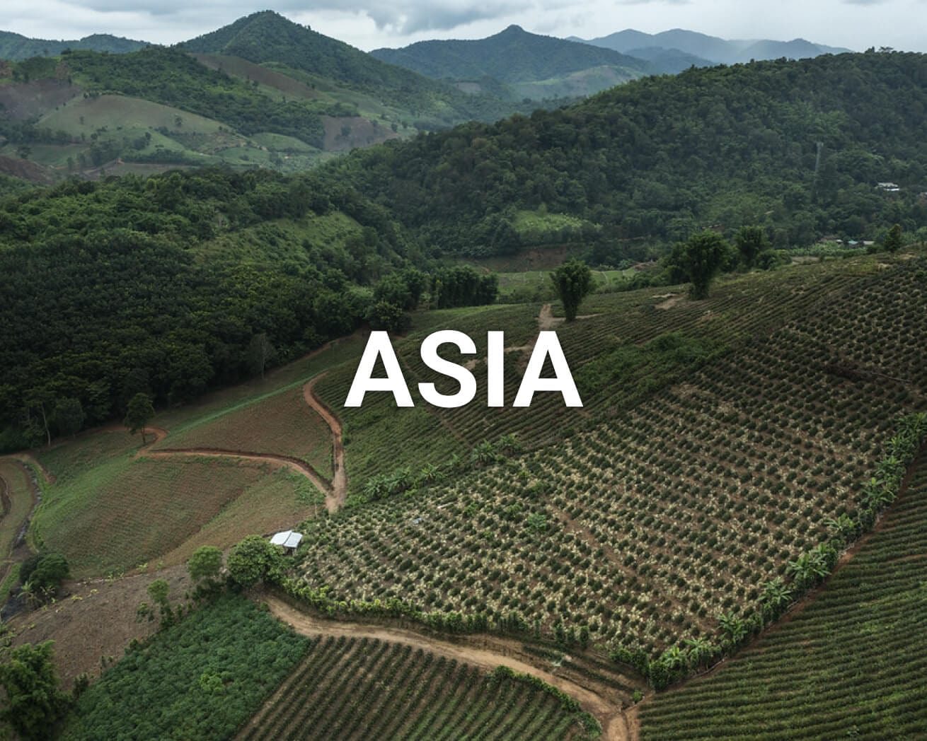 Asia main