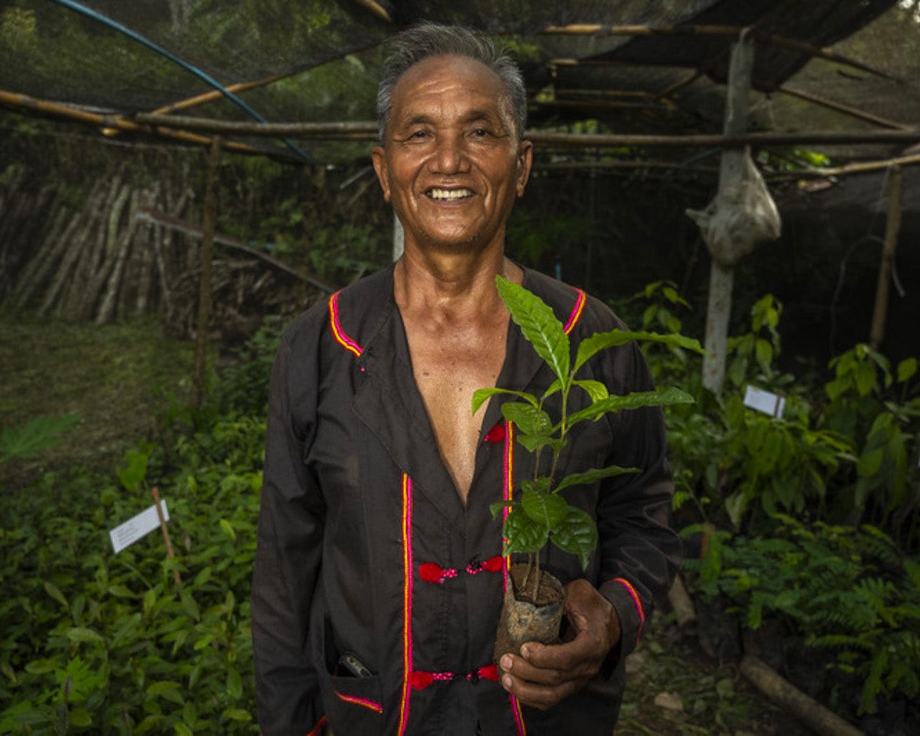 Tree planter in Asia