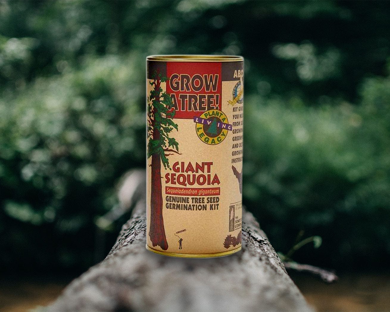Giant Sequoia