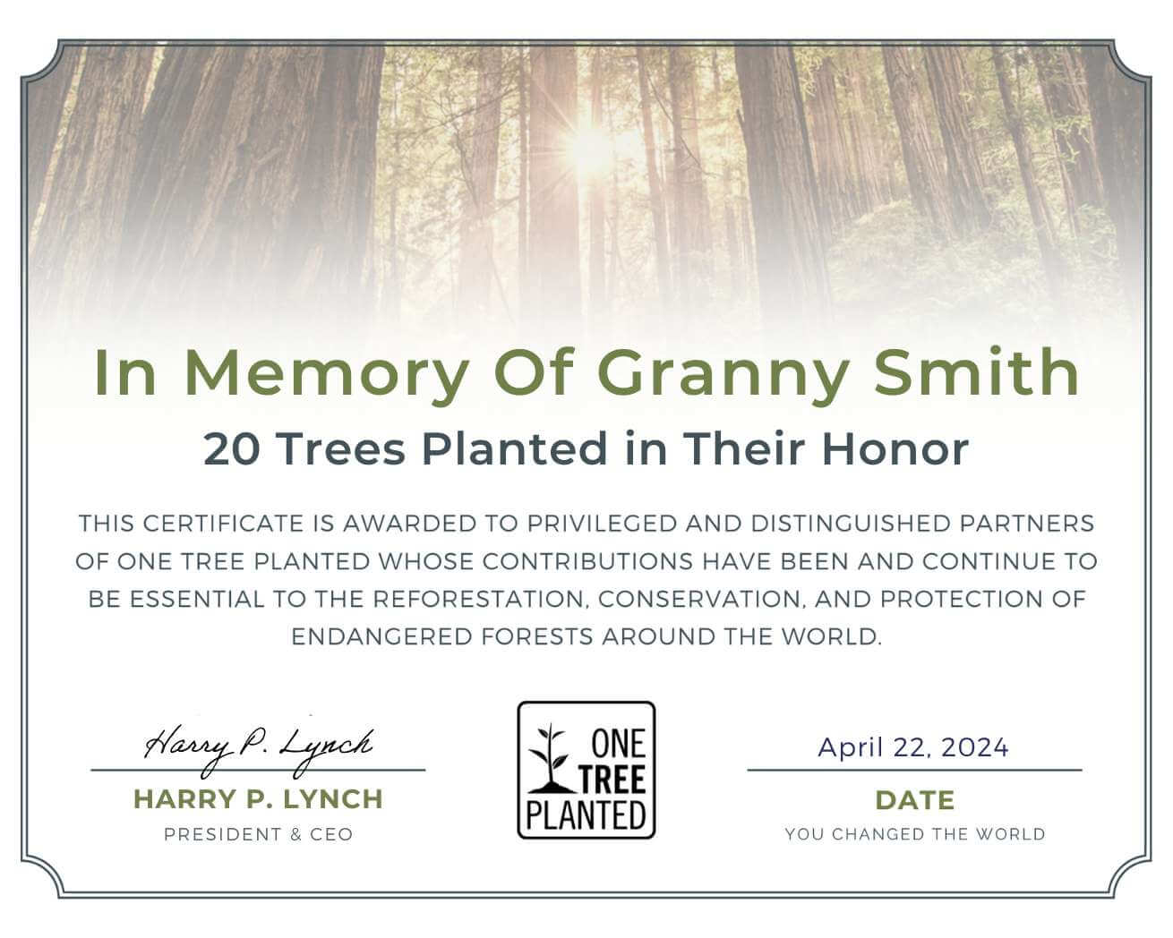 Gift Trees In Memory