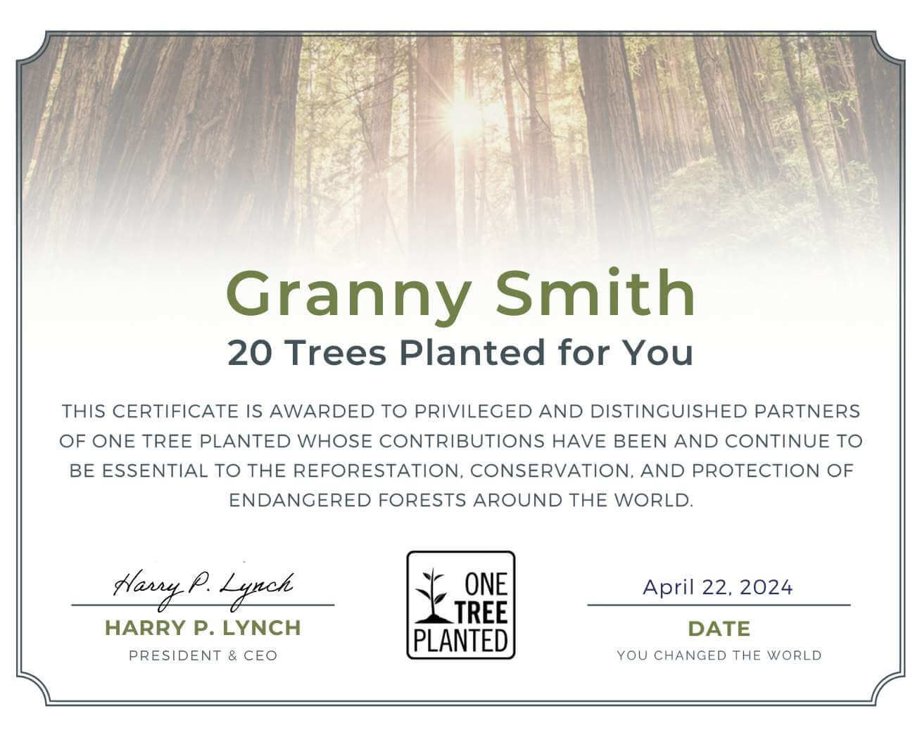 Gift Trees