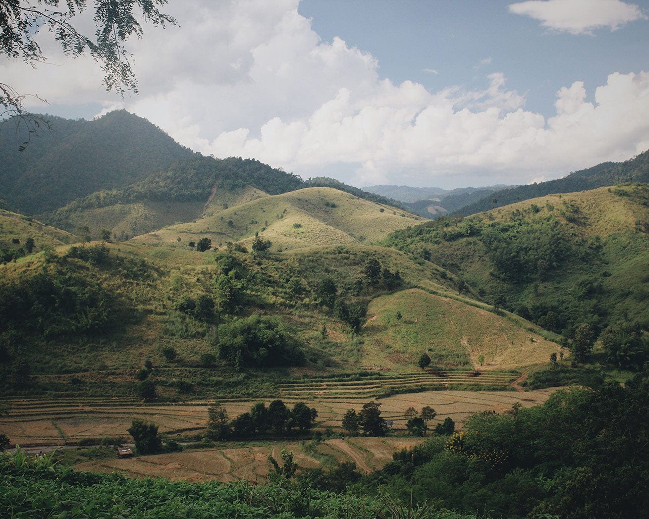 Hills of Thailand