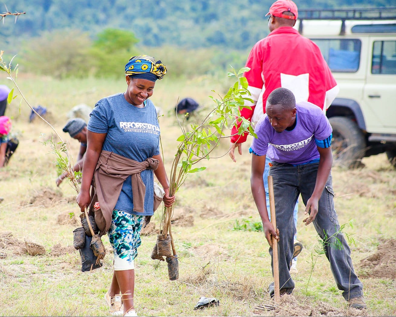 Planting trees for biodiversity