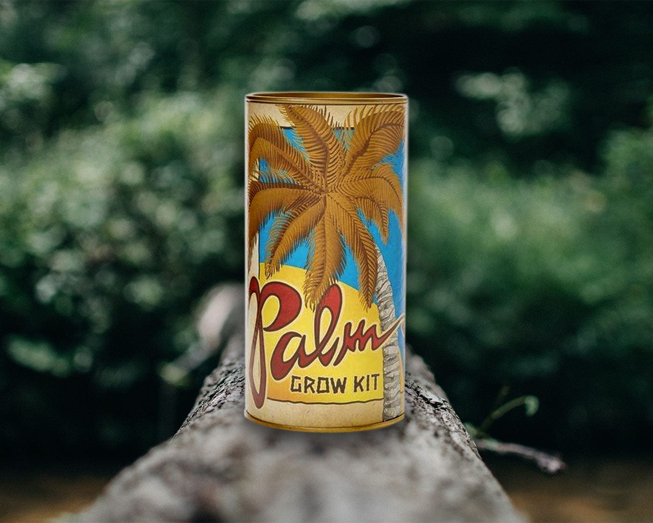 Palm tree
