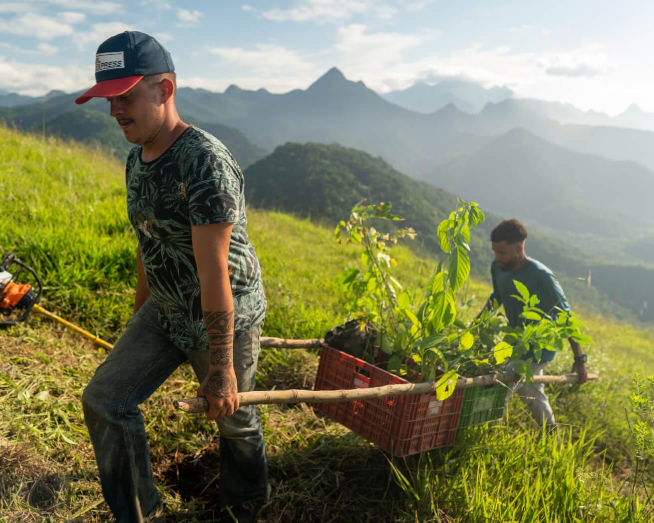 Plant Trees Where They're Needed Most