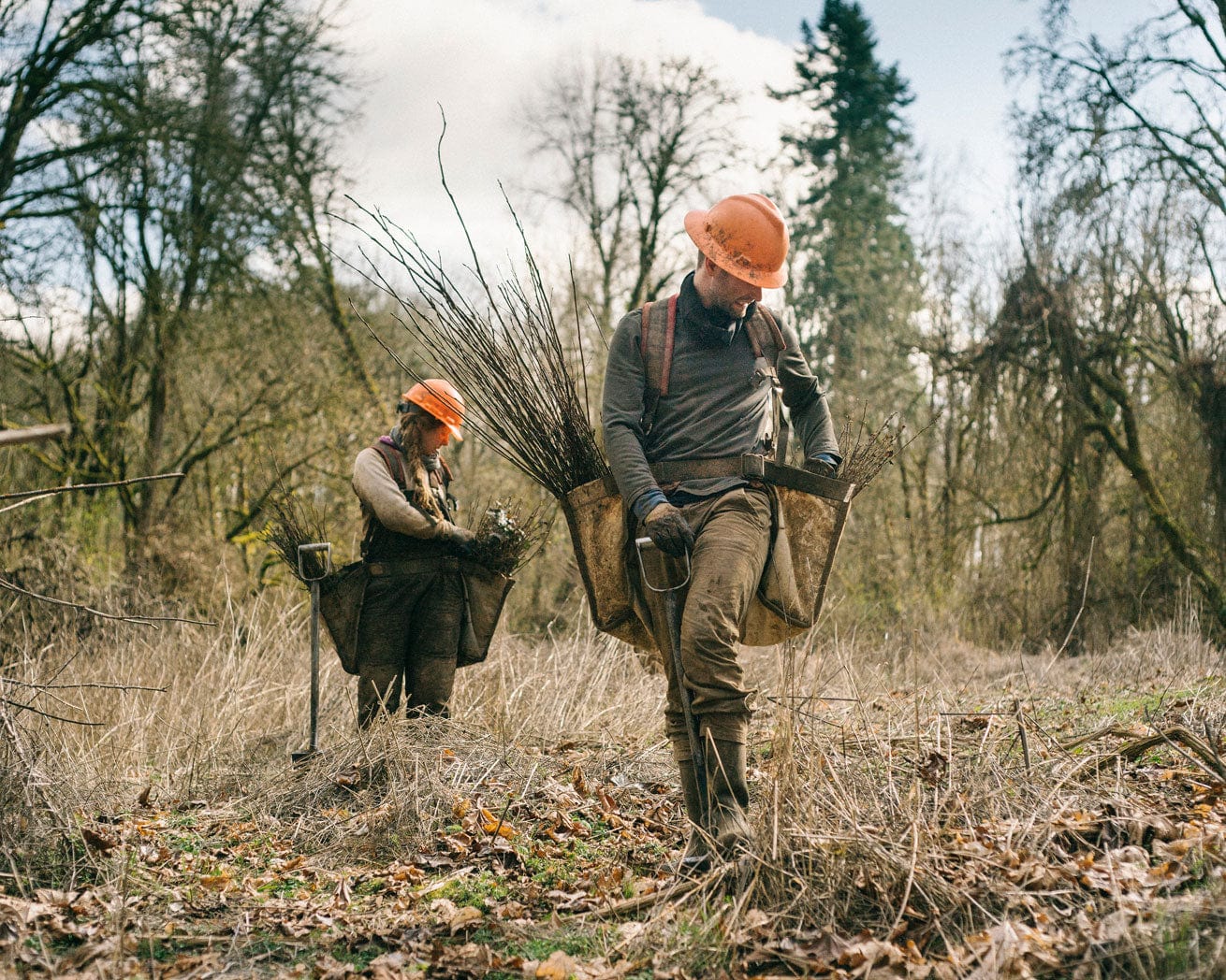 Tree planters