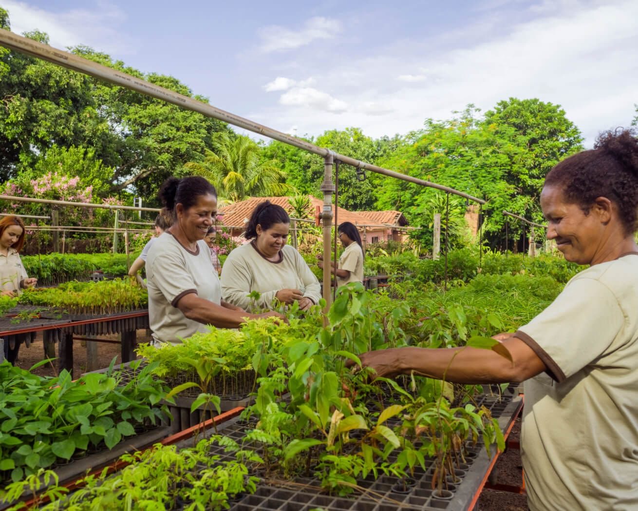 Tree Nursery and community members