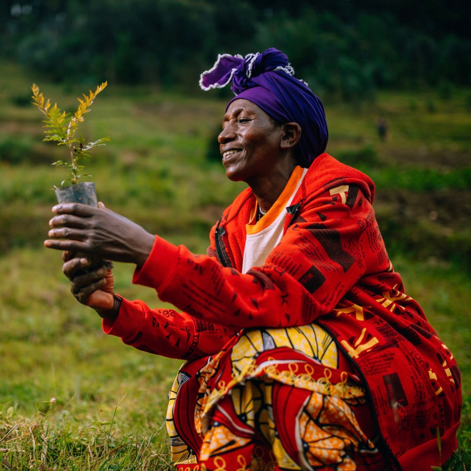 woman holding seedling.jpg__PID:bf9af598-8c6b-4151-8683-ba4b6ecc3e92