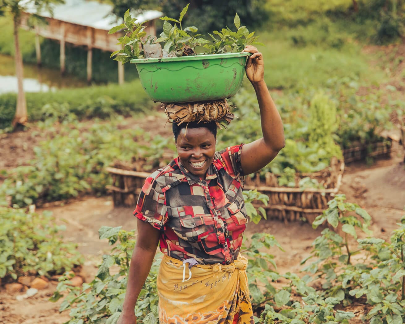 Woman tree planting in Africa