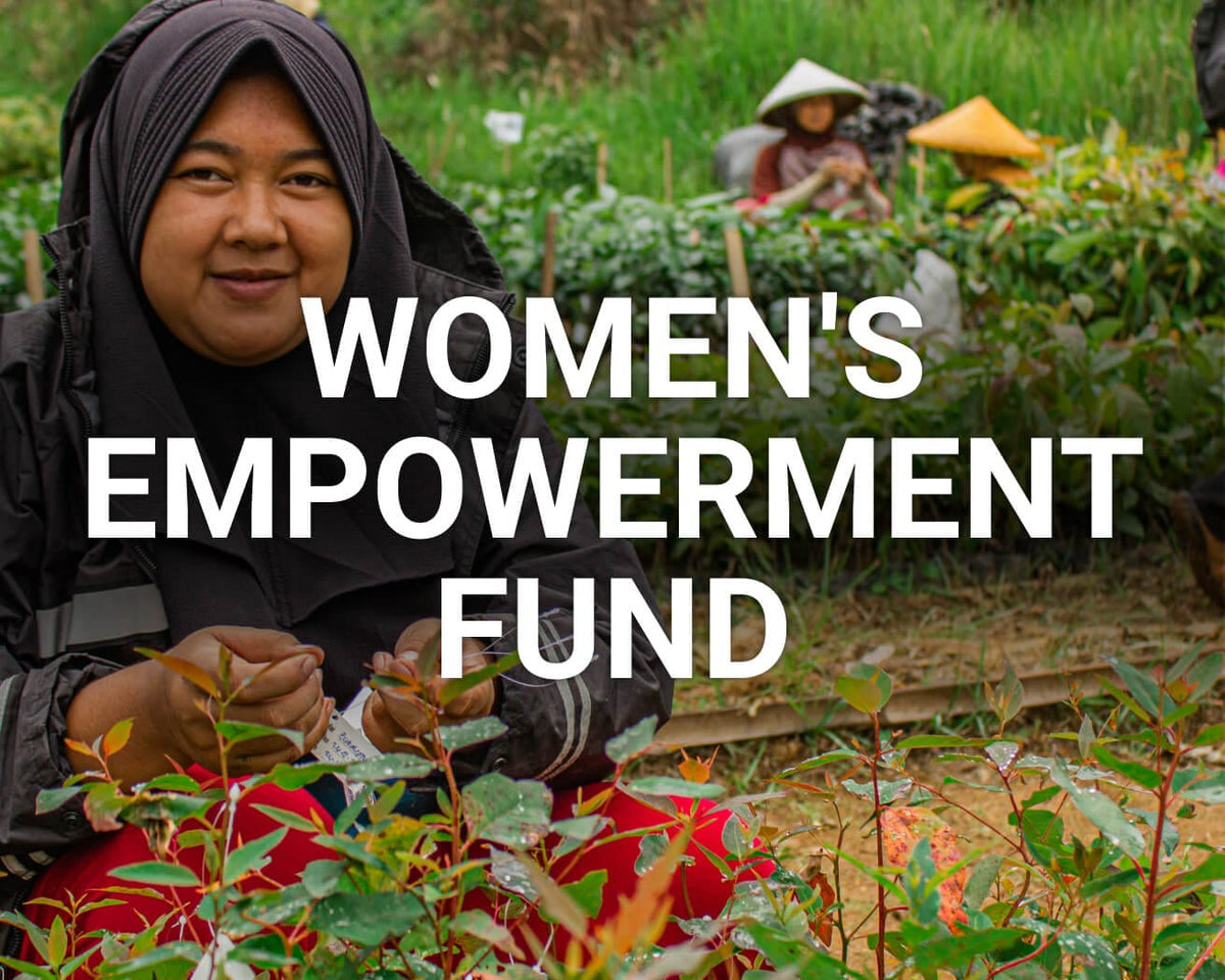 Women&#39;s Empowerment Fund